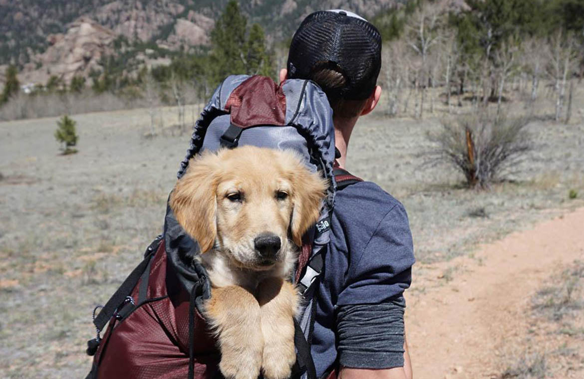 men hiking with a dog