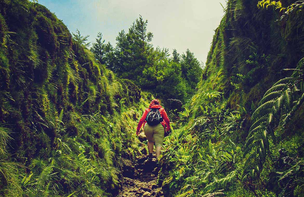 A woman in a red jacket is hiking in the wild