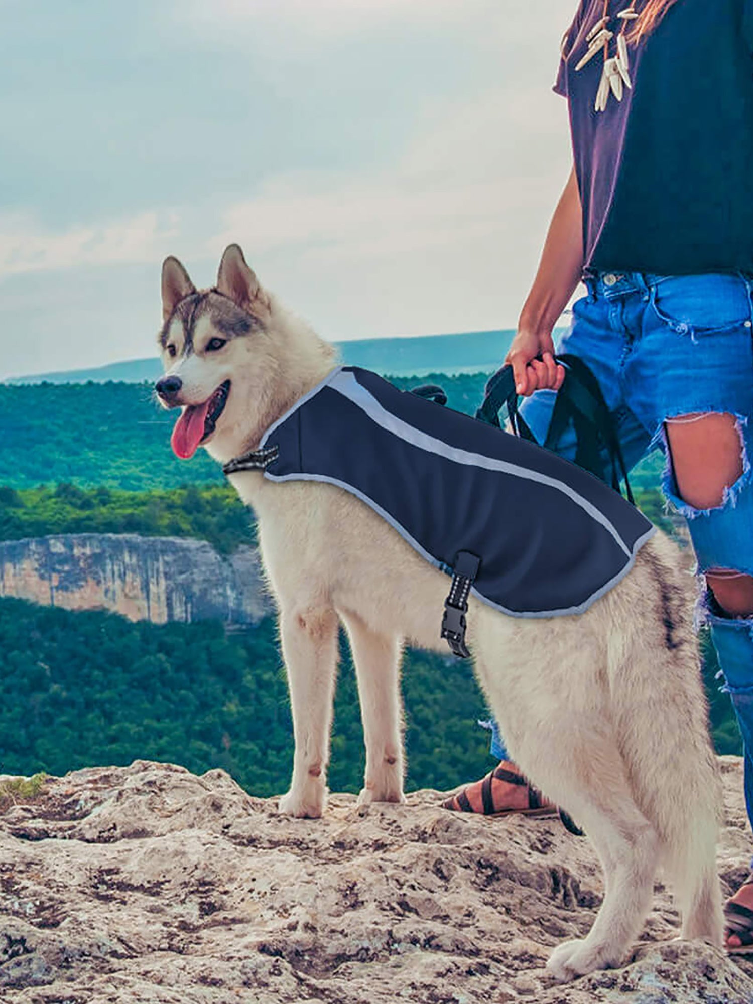 Pet Oxford Reflective Dog Vest