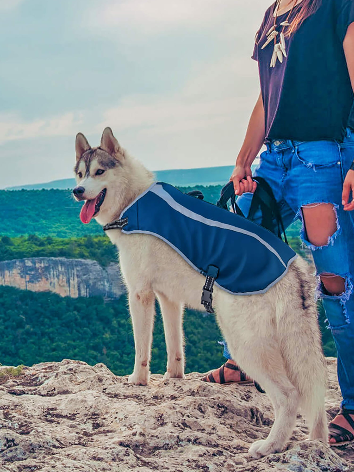 Pet Oxford Reflective Dog Vest